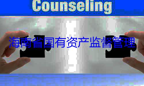有福接受审资产监督管委副书记王查调查海南省国有理委员会党